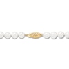 Thumbnail Image 1 of Cultured Pearl Necklace 10K Yellow Gold 16"