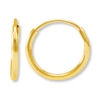 Thumbnail Image 0 of Hoop Earrings 14K Yellow Gold 10mm