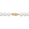 Thumbnail Image 1 of Cultured Pearl Necklace 10K Yellow Gold