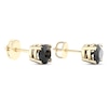 Thumbnail Image 3 of Round-cut Black Diamond Solitaire Stud Earrings 2 ct tw 10K Yellow Gold