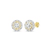 Thumbnail Image 0 of Diamond Star Halo Stud Earrings 1/2 ct tw 10K Yellow Gold