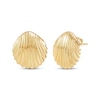 Thumbnail Image 1 of Seashell Stud Earrings 14K Yellow Gold