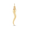 Thumbnail Image 1 of Hollow Italian Horn Charm 10K Yellow Gold