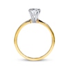 Thumbnail Image 1 of THE LEO Diamond Artisan Ring 1 Carat Round-cut 14K Yellow Gold
