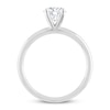 Thumbnail Image 1 of THE LEO Diamond Artisan Ring 1 Carat Round-cut 14K White Gold