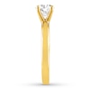 Thumbnail Image 3 of THE LEO Diamond Artisan Ring 1 Carat 14K Yellow Gold