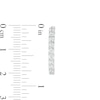 Thumbnail Image 2 of THE LEO Diamond Hoop Earrings 1 ct tw 14K White Gold