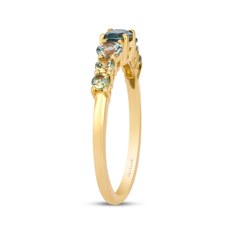 Main Image 2 of Le Vian Montana Sapphire Ombré Ring 14K Honey Gold