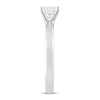 Thumbnail Image 3 of THE LEO Diamond Artisan Ring 3/4 Carat Princess-cut 14K White Gold