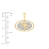 Thumbnail Image 2 of True Fans San Francisco 49ers 1/4 CT. T.W. Diamond Logo Charm in 10K Gold