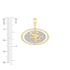 Thumbnail Image 1 of True Fans San Francisco 49ers 1/4 CT. T.W. Diamond Logo Charm in 10K Gold