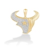 True Fans Houston Texans 1/4 CT. T.W. Diamond Logo Charm in 10K Gold