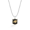 Thumbnail Image 1 of True Fans Carolina Panthers 3/8 CT. T.W. Black Diamond and Enamel Reversible Shield Necklace in 10K Yellow Gold & Sterling Silver