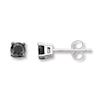 Thumbnail Image 1 of Black Diamond Earrings 1/2 ct tw Round-cut 10K White Gold
