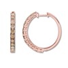 Thumbnail Image 0 of Le Vian Ombre Hoop Earrings 2 cttw Diamonds 14K Strawberry Gold