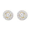 Thumbnail Image 0 of Diamond Earrings 1/2 ct tw Round-cut 10K Yellow Gold