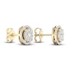 Thumbnail Image 4 of Diamond Stud Earrings 1/2 ct tw Round-Cut 10K Yellow Gold