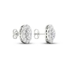 Diamond Oval Halo Stud Earrings 3 ct tw Oval & Round-cut 14K White Gold