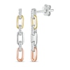 Thumbnail Image 0 of Round-Cut Diamond Paperclip Dangle Earrings 1/10 ct tw 10K Tri-Tone Gold