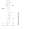 Thumbnail Image 3 of Diamond Station Huggie Hoop Earrings 1/8 ct tw Sterling Silver
