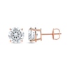 Thumbnail Image 3 of KAY Lab-Grown Diamonds Round-Cut Solitaire Stud Earrings 4 ct tw 14K Rose Gold (F/SI2)