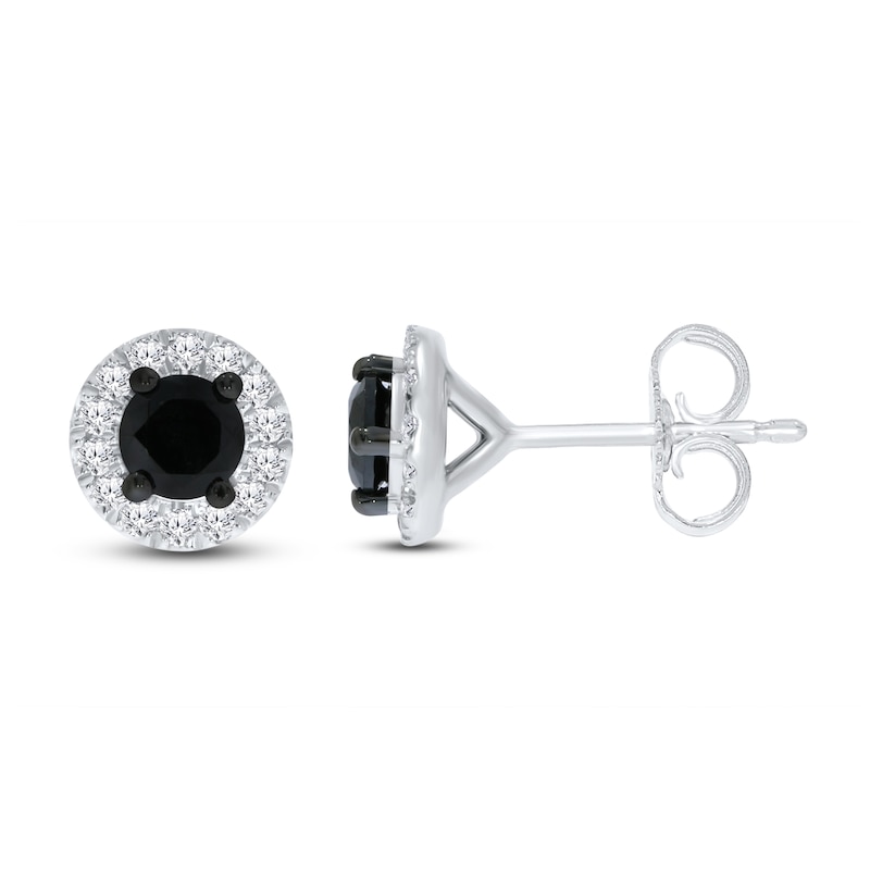 Main Image 1 of Black & White Diamond Earrings 1/2 ct tw 10K White Gold