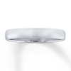 Thumbnail Image 1 of Now + Forever Wedding Band Platinum 3mm