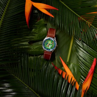 Mickey Mouse Citizen Explorer Watch Disney's Mickey Mouse Explorer Citizen Men's Eco-Drive Stainless