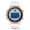 Garmin Fenix 5S Plus Sapphire Smartwatch 010-01987-06
