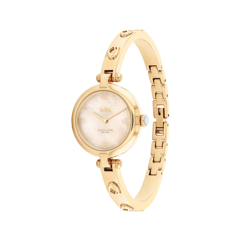 Coach Cary Women's Watch 14504006