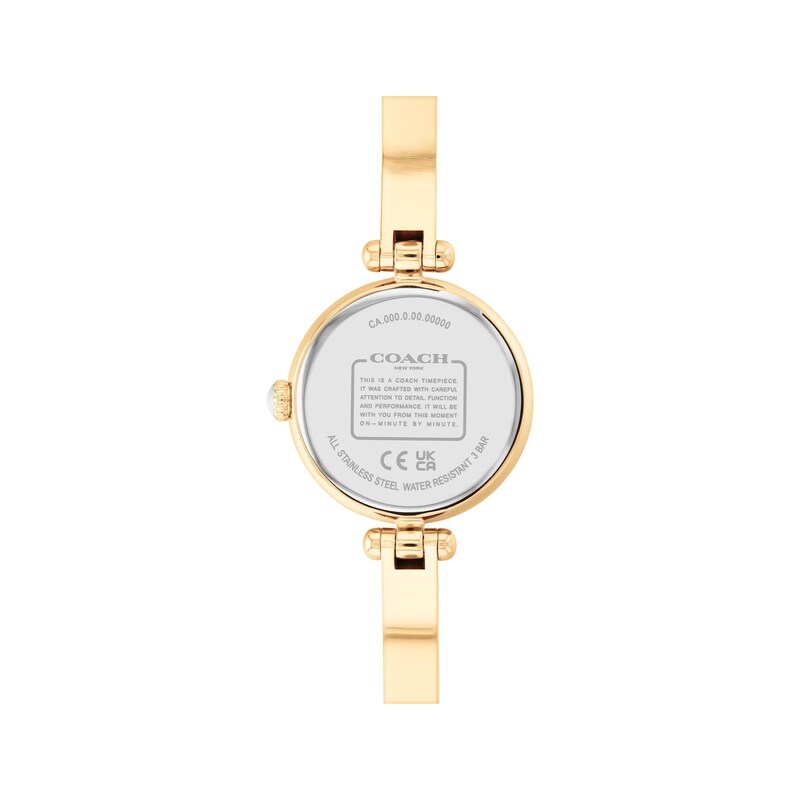 Coach Cary Women's Watch 14504006