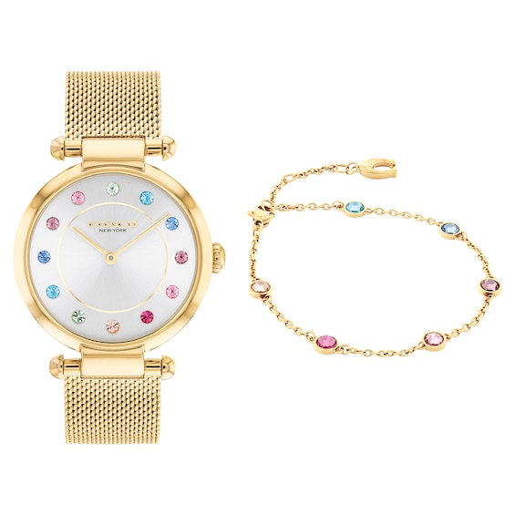COACH Cary Women's Watch Set 14000112