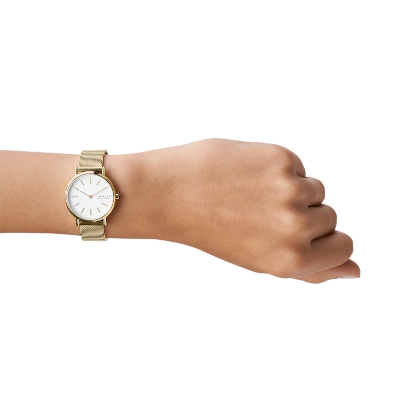 Main Image 3 of Skagen Signatur Lille Slim Women's Watch SKW2693