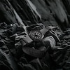 Thumbnail Image 4 of Hamilton Khaki Field Mechanical Watch H69409930