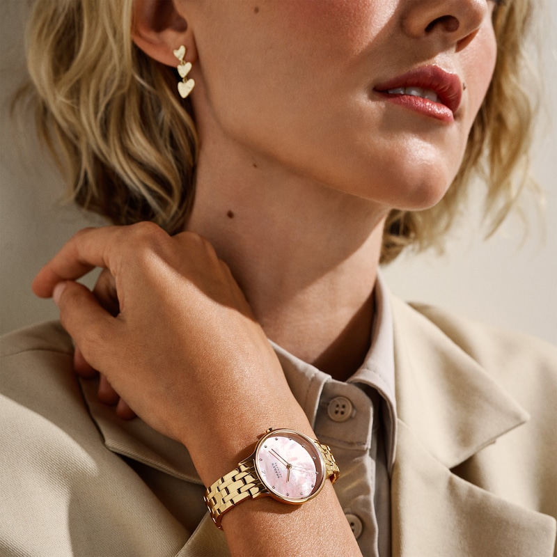 Main Image 4 of Skagen Anita Lille Women's Watch SKW3165