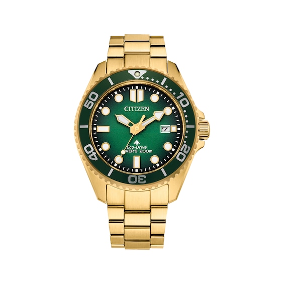 Citizen Promaster Dive Men's Watch BN0262-59W