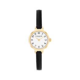 COACH Iris Women's Watch 14504654-T
