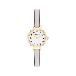COACH Iris Women's Watch 14504655-T