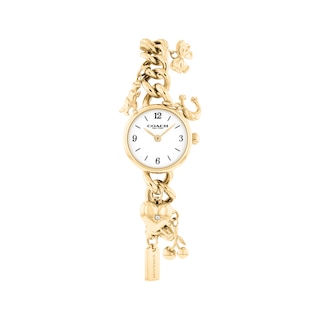 COACH Iris 22mm Women's Watch 14504648