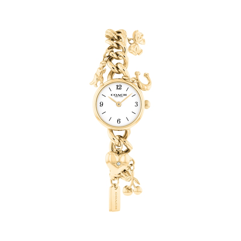 Main Image 1 of COACH Iris 22mm Women's Watch 14504648