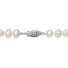 Thumbnail Image 2 of Cultured Pearl Necklace Sterling Silver