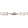 Thumbnail Image 3 of Cultured Pearl Necklace Sterling Silver