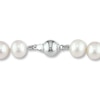 Thumbnail Image 1 of Cultured Pearl Necklace Sterling Silver