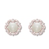 Thumbnail Image 1 of Freshwater Cultured Pearl Earrings 10K Rose Gold