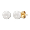 Thumbnail Image 0 of Cultured Pearl Stud Earrings 10K Yellow Gold 7 x 7.5mm