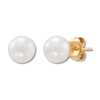 Thumbnail Image 1 of Cultured Pearl Stud Earrings 10K Yellow Gold 7 x 7.5mm