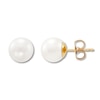 Thumbnail Image 1 of Cultured Pearl Stud Earrings 8 x 8.5mm