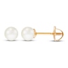 Thumbnail Image 1 of Children's Cultured Pearl Earrings 14K Yellow Gold