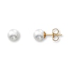 Thumbnail Image 1 of Cultured Pearl Earrings 14K Yellow Gold