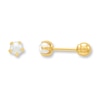 Thumbnail Image 0 of Cultured Pearl Earrings Reversible 14K Yellow Gold